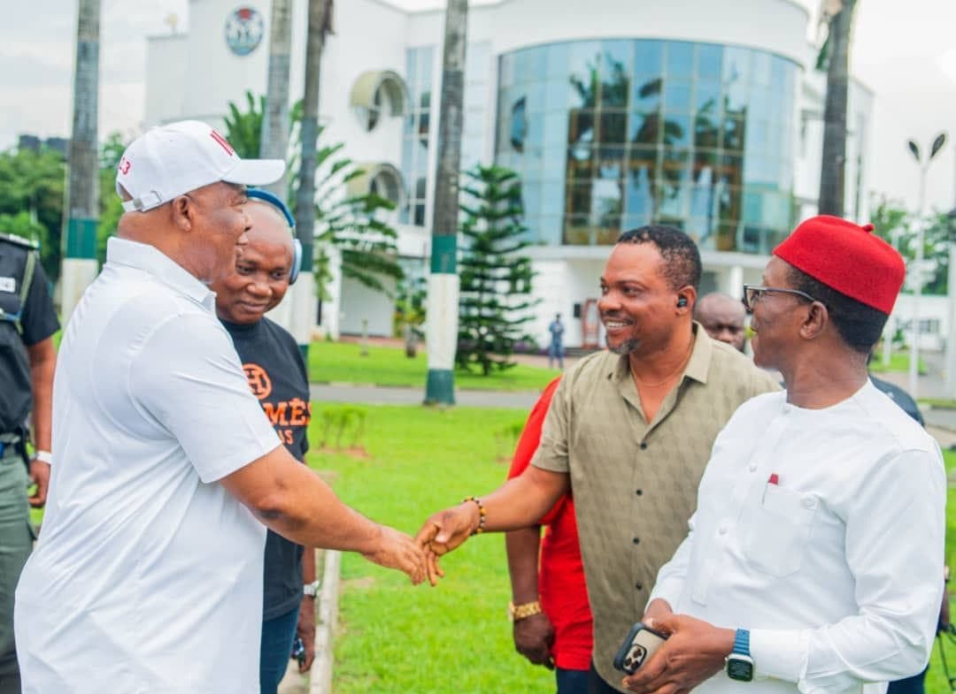 Ministry of Niger Delta Affairs and Intelligence – Overview